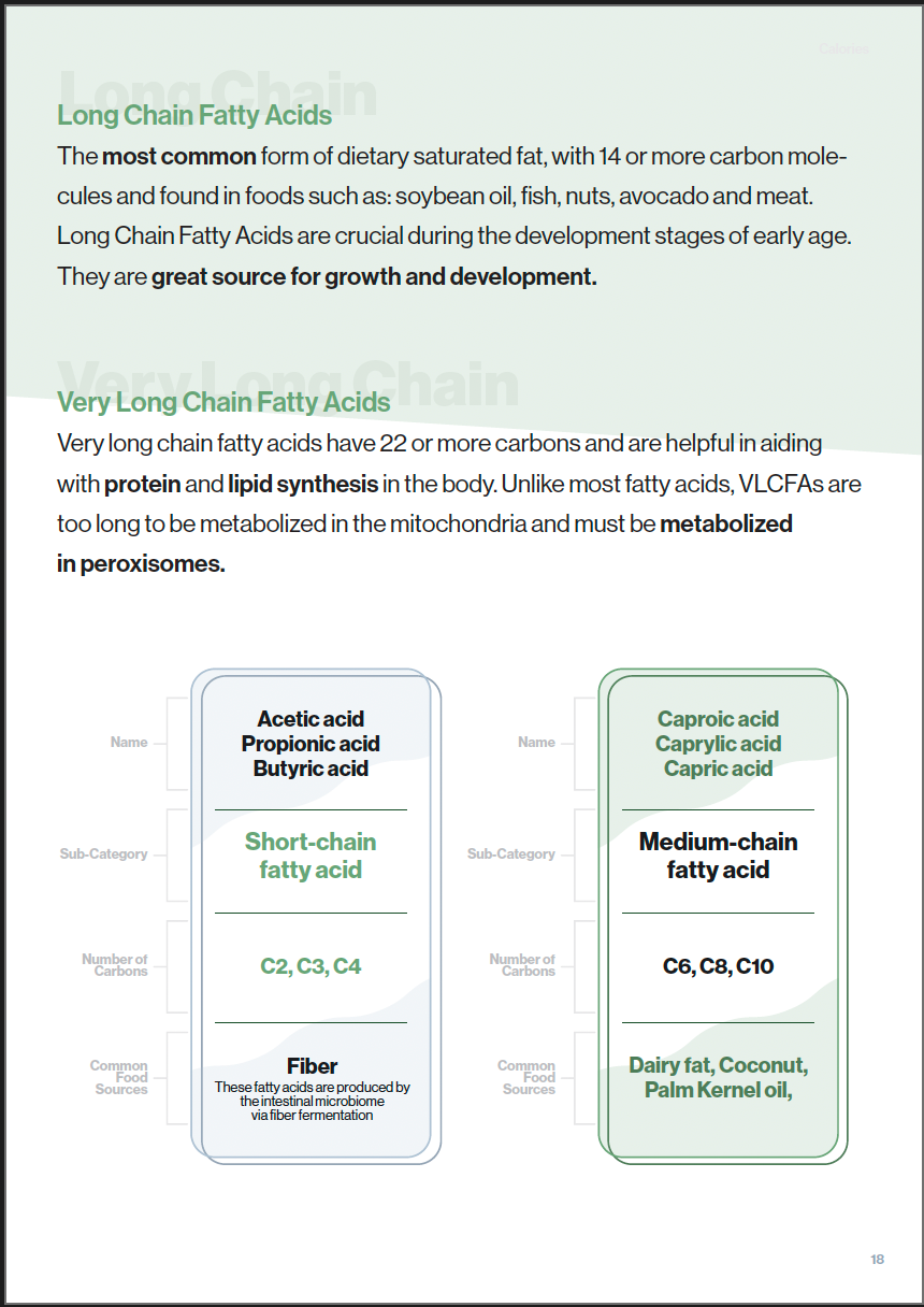 Master Your Macros Ebook